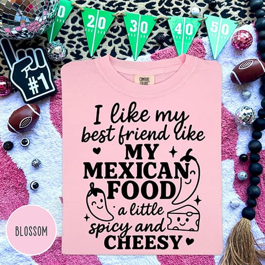 I like my best friend like my mexican food spicy and cheesy T-shirt